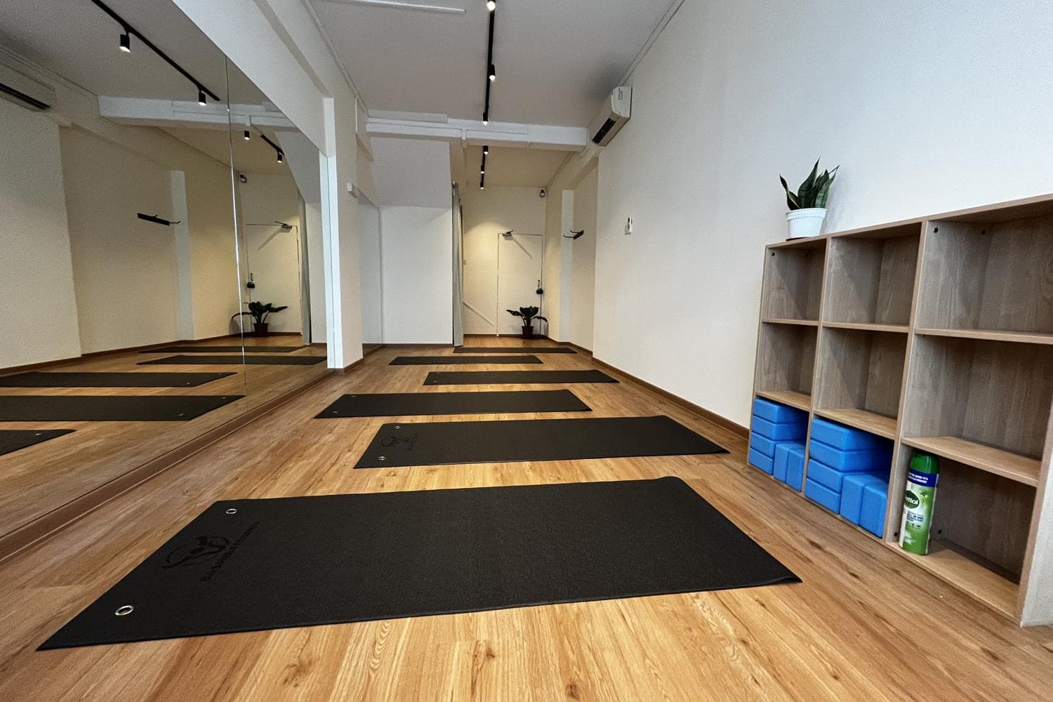 Studio Space for Yoga Pilates Dance Drama