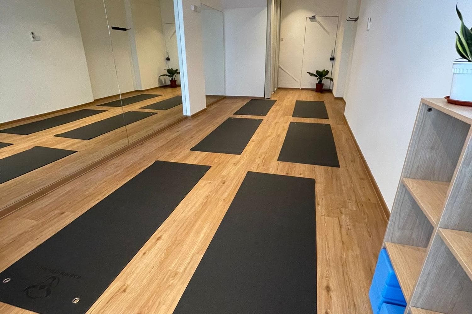 Studio Space for Yoga Pilates Dance Drama