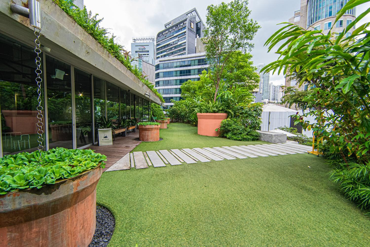 The Terrace & Lawn