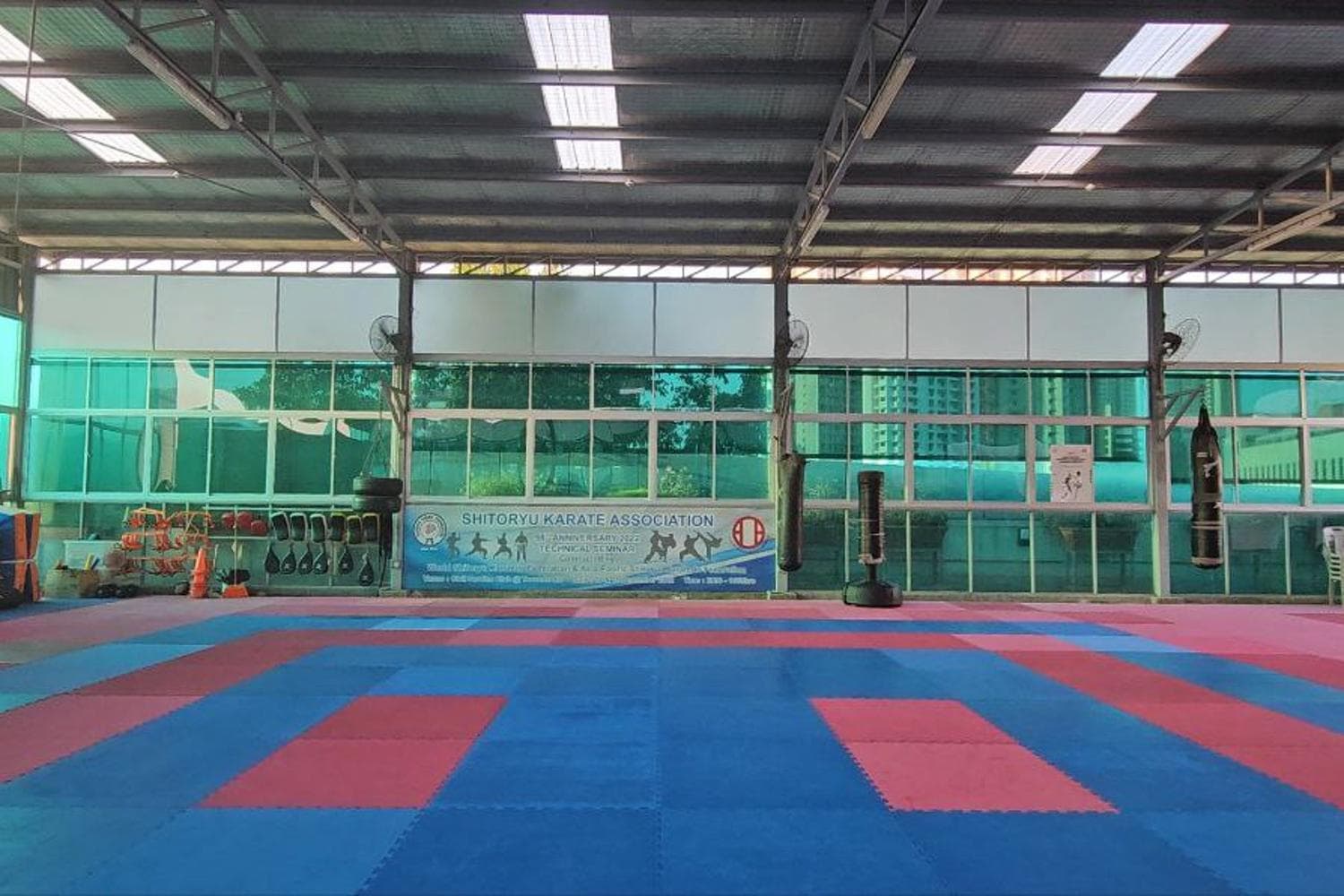 Martial Arts Studio with Floor Mats
