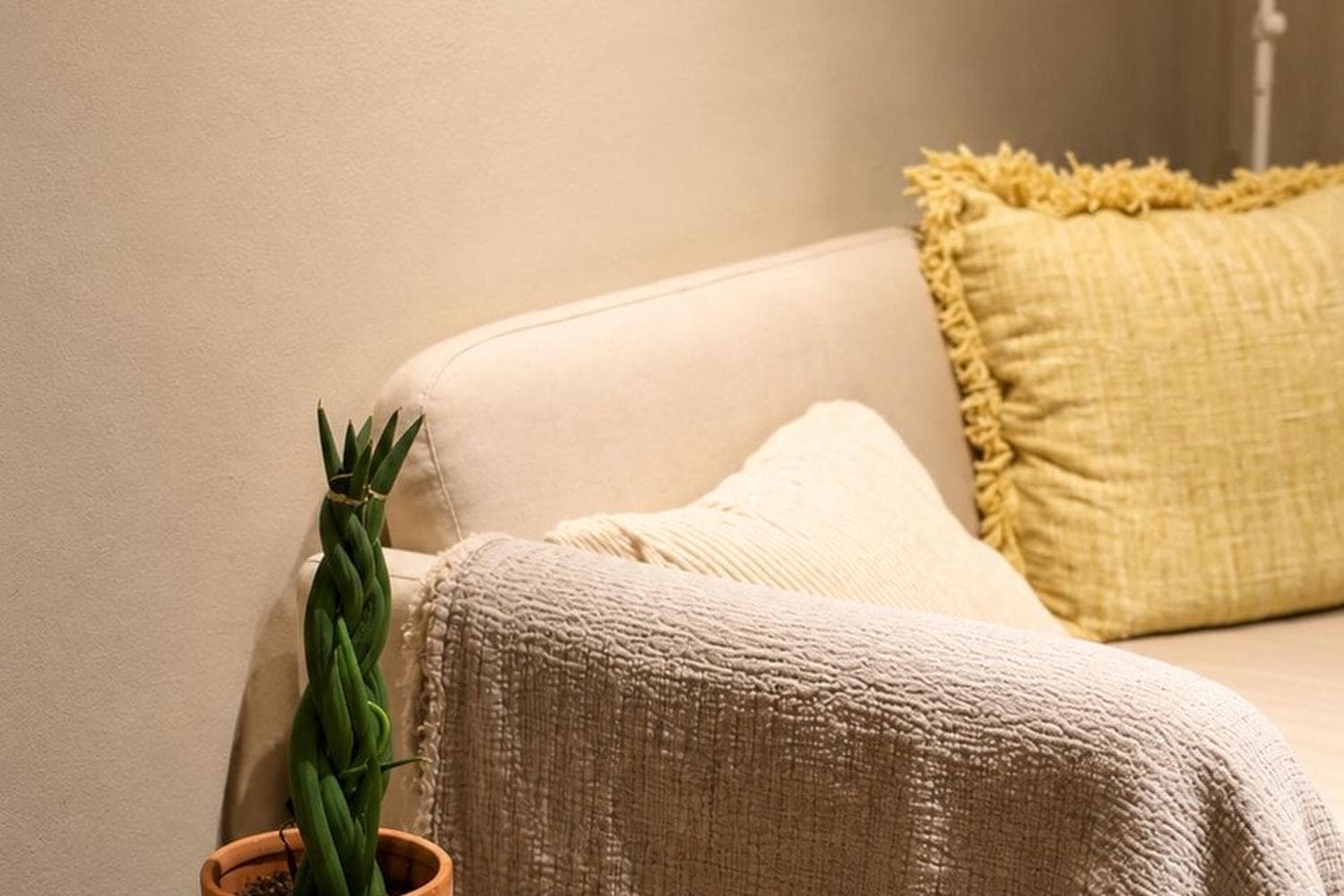 Therapy / Coaching / Counselling Room