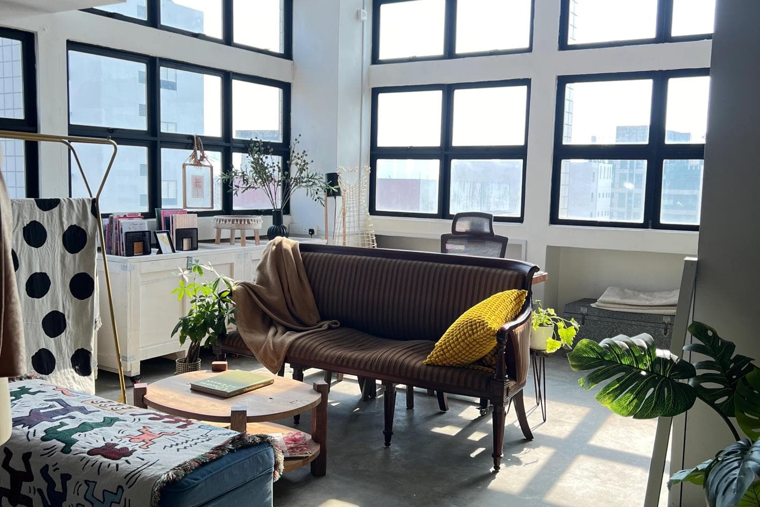 Ameizing Space