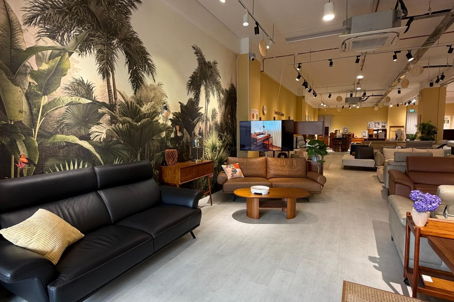 Outram 2000sqft Designer Showroom & Event Space