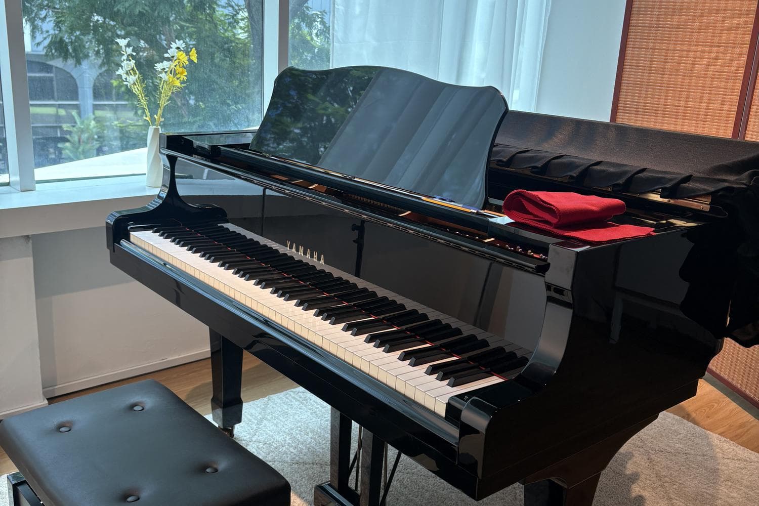 Grand Piano Performance Space (Aria)