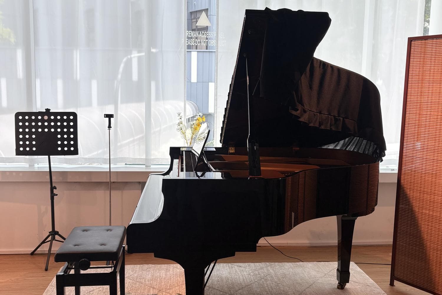 Grand Piano Performance Space (Aria)