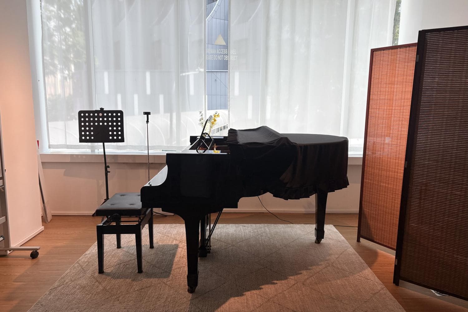 Grand Piano Performance Space (Aria)