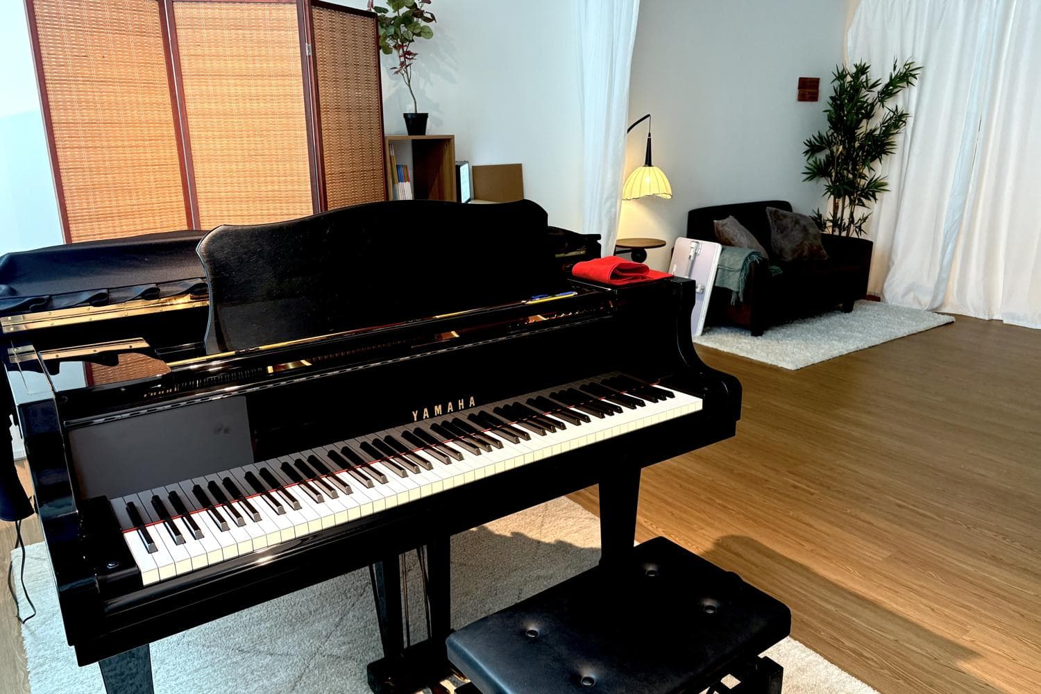 Grand Piano Performance Space (Aria)