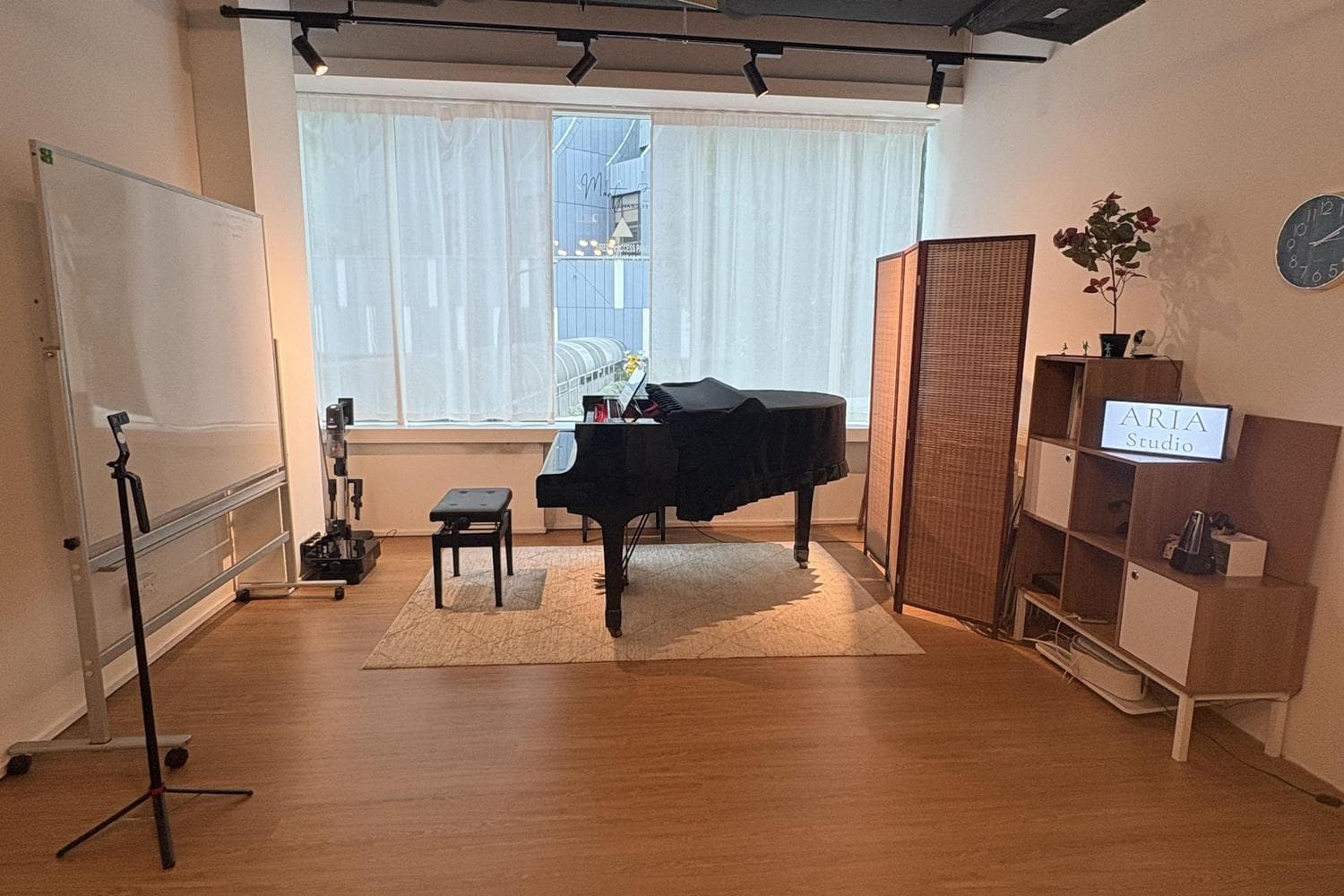 Grand Piano Performance Space (Aria)