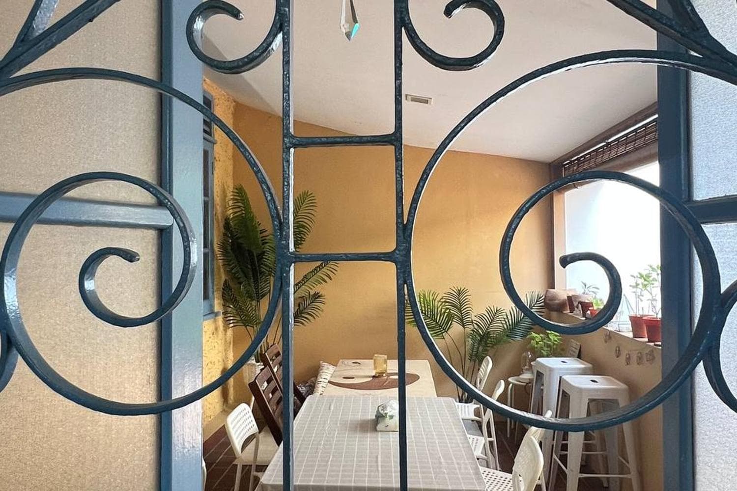 Outdoor Patio Garden Space for Film & Photoshoots