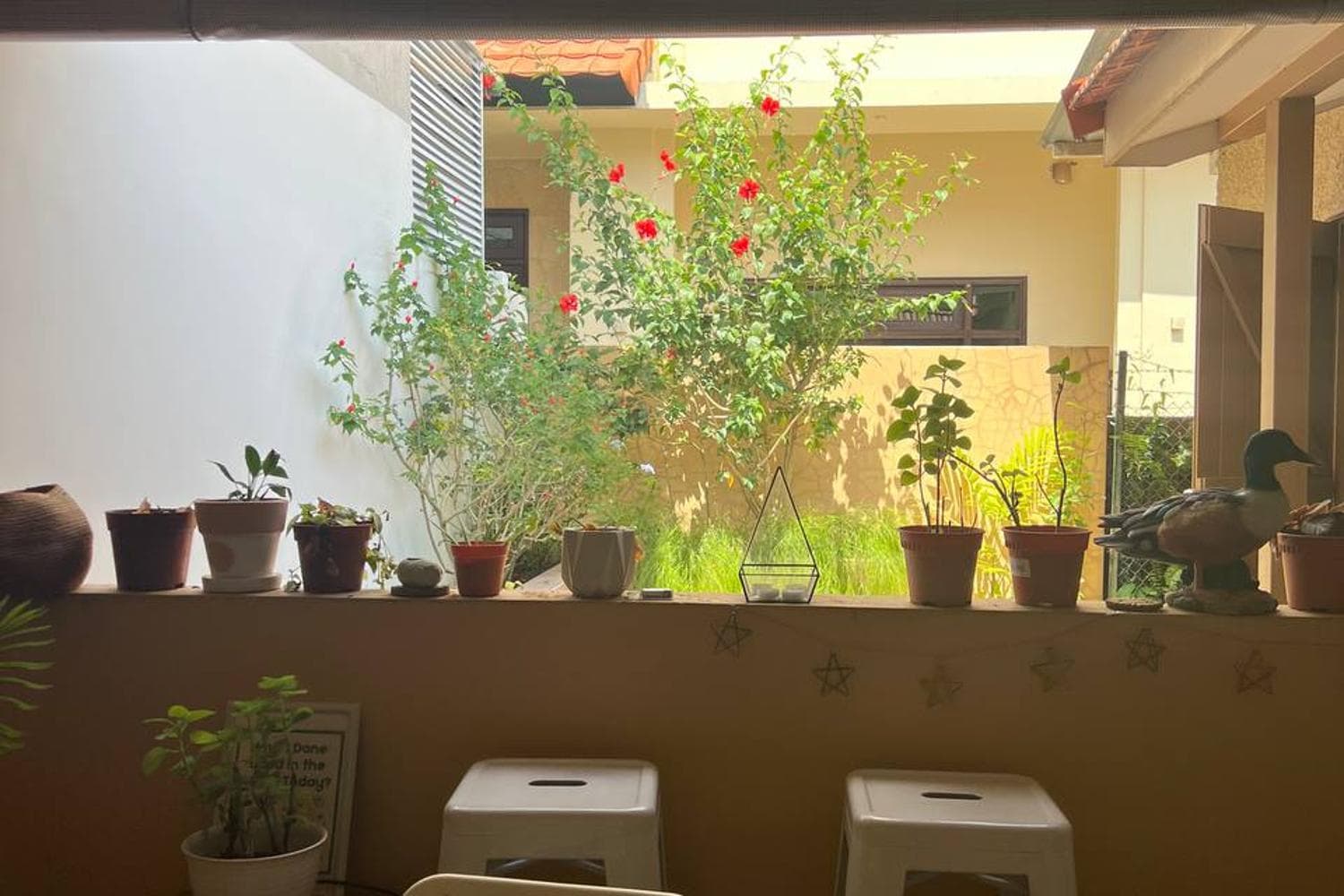 Outdoor Patio Garden Space for Film & Photoshoots