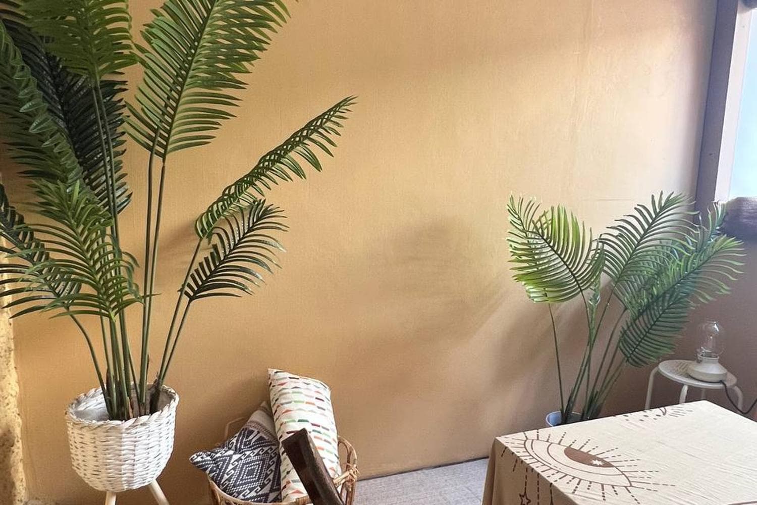 Outdoor Patio Garden Space for Film & Photoshoots