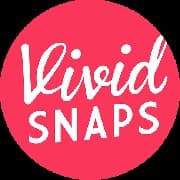 Vivid Studio